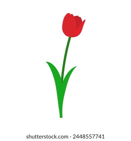 Spring tulip element. Ideal for making colorful summer and spring designs. Vector illustration.