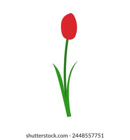 Spring tulip element. Ideal for making colorful summer and spring designs. Vector illustration.