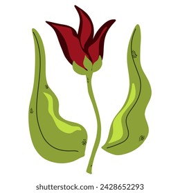 Spring tulip in flat style, hand drawn, cartoon style. Vector clipart