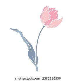 Spring tulip flower. Vector graphics.