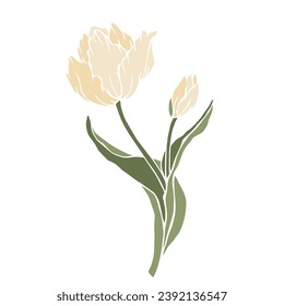 Spring tulip flower. Vector graphics.