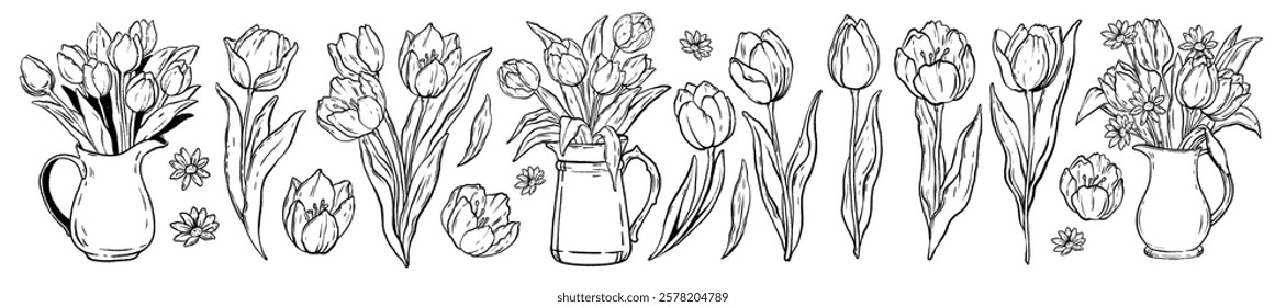 Spring tulip flower vector set, Easter blossom floral doodle, hand drawn nature line illustration. Garden bloom bouquet collection, minimal elegant herb sketch, petal leaf, vase. Vintage tulip flower