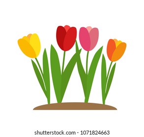 Spring Tulip Flowers Background Vector Illustration EPS10