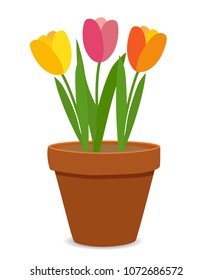 Spring Tulip Flowers in Flower Pot Vector Illustration EPS10