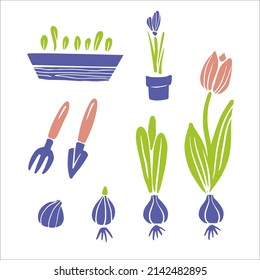 Tulipán de primavera con flores, brotes, bulbo de tulipán, macetas. Ilustración de silueta de jardín vectorial aislada en fondo blanco para el diseño de afiches y volantes.