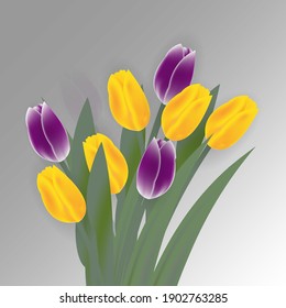Flores tulipanes de primavera sobre fondo blanco