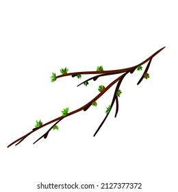A spring twig with budding leaves. An element on a white background.