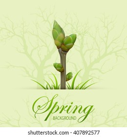 Spring twig with buds and grass on green grunge background, illustration.