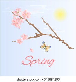 Spring twig of cherry and butterfly spring background vector illustration