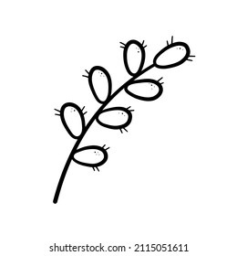 Spring twig easter pussy willow tree. Hand drawn icon in doodle line style. Isolated vector illustration.