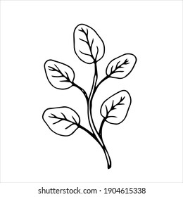 Tapa de primavera con hojas, objeto vectorial floral en forma de doodle, dibujo a mano de flores, aislamiento sobre un fondo blanco.