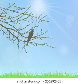 Spring twig tree with bird on a blue background. Spring holiday card with place for text. Stylish fashion background