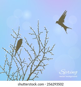 Spring twig tree with bird on a blue background. Spring holiday card with place for text. Stylish fashion background