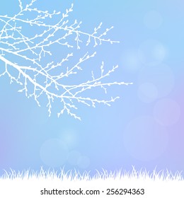 Spring twig tree and grass on a blue background. Spring holiday card with place for text. Stylish fashion background