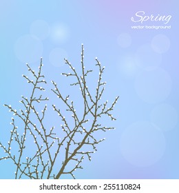Spring twig tree on a blue background. Spring holiday card with place for text. Stylish fashion background