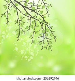 Spring twig tree on a green background. Spring holiday card with place for text. Stylish fashion background
