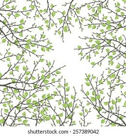 Spring twig tree on a white background. Stylish spring background with a place for text, good for cards, invitations