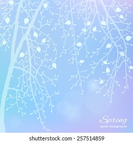 Spring twig tree. Stylish spring background with a place for text, good for cards, invitations