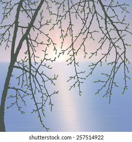 Spring twig tree. Stylish spring background with a place for text, good for cards, invitations