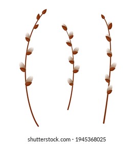 Spring twigs of Easter willow. Vector set of branches of pussy willow. 