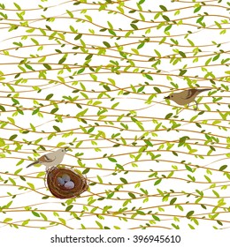 Spring twigs seamless pattern with willow tree branches, nest, birds and eggs. Horizontal pattern with osier twigs and birds with nest on white background. Green tree twigs background stock vector