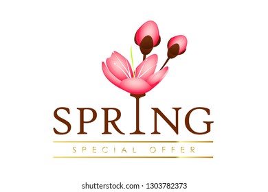 spring typography special offer with cherry blooming flowers pink petals vector illustration EPS10