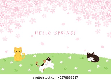 Frühlingsvektorhintergrund mit Kirschblüten und -katzen auf einem grünen Feld für Banner, Karten, Flyer, Wallpaper in den sozialen Medien usw.