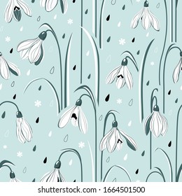 Spring vector background with delicate snowdrop flowers and raindrops