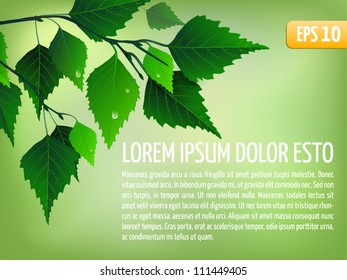 Spring vector background with leaves eps10