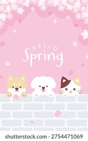 spring vector background and
