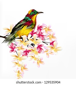 Spring vector background with realistic  tropical vector bird