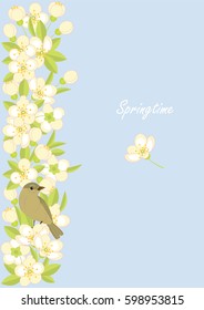 Spring vector background. Small birds and spring blossoming branches