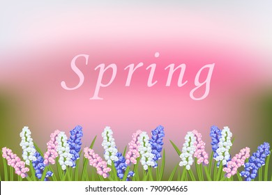 Spring vector blurred background with blooming flowers. Muscari multicolor, pink, white, blue.Branch of green leaves of grass, decorative frame.Greeting card with flower background, nature wallpaper