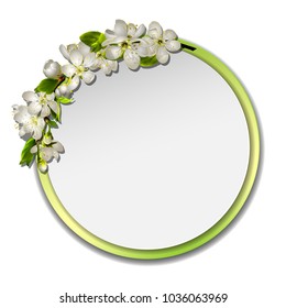 Spring vector card or banner with cherry blossom. White flowers wreath, round frame with green border. Seasonal poster with cherry blooming. Vector illustration