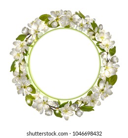 Spring vector card or banner with cherry blossom. White flowers wreath, round frame with green border. Seasonal poster with cherry blooming. Vector illustration