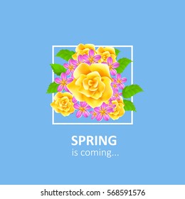 Spring vector flowers in border