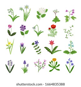 Conjunto de iconos de flores vectoriales de primavera
