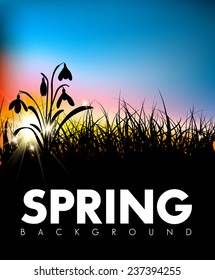 Plano de fundo primavera vetor grama amanhecer com lugar para o seu texto
