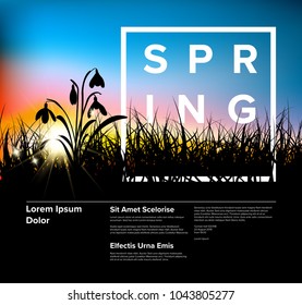 Spring vector grass dawn modern flyer template with place for your text
