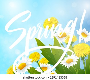Spring vector  greetings design with colorful flowers,dandelions and chamomiles.Spring sale banner