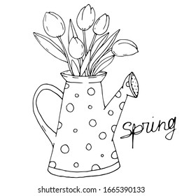 Spring vector hand drawn illustration for coloring: watering can, bouquet of tulips, handwritten text: SPRING. Good for print, textile, coloring book, fabric, scrapbooking, wallpaper, poster, banner. 