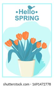 spring vector hello spring concept. Bucket with orange tulips. Bright greeting card for Easter