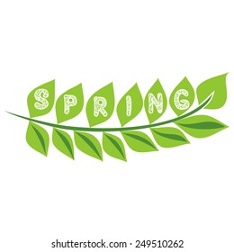 Spring vector illustration