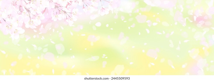 Spring vector illustration with cherry blossoms and rape blossoms in full bloom