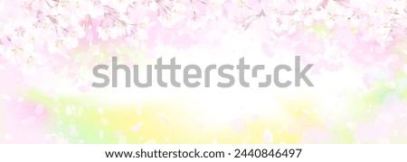 Spring vector illustration with cherry blossoms and rape blossoms in full bloom