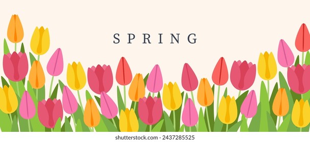 Spring vector illustration, multi-colored tulips on a white background. Design for wallpaper, posters, banners, cards, print, web and packaging.