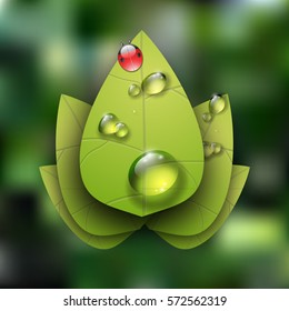 Spring  vector leavels. Vector illustration of ecology concept icon with glossy green leavels.