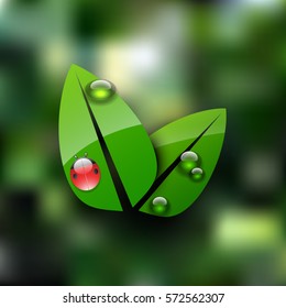 Spring  vector leaves. Vector illustration of ecology concept icon with glossy green leavels.