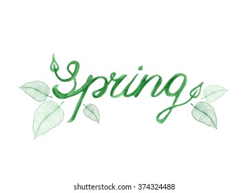 Spring vector lettering in watercolor style with green young leaves decoration, banner, card template.  Vector illustration in eps8 format. 