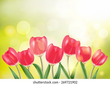 Spring vector, set of red tulip and green grass in sunny bokeh background.